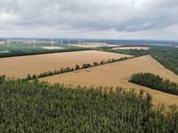 Auf der Halde des Braunkohletagebaus Phönix-Nord soll der Solarpark Langendorf entstehen. Bildquelle: RES (zum Abdruck frei)